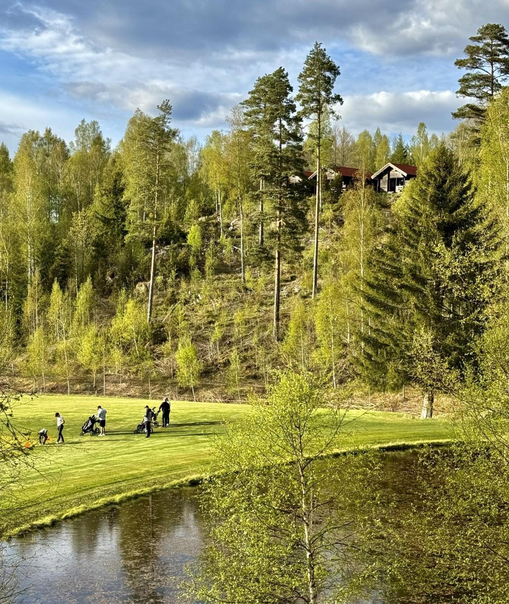 Noretjaerns Stugby Årjäng Zewnętrze zdjęcie